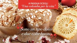 Pasqua con ADMO: "Una colomba per la Vita, con noi per una Pasqua solidale"