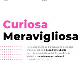 "Curiosa Meravigliosa": chiamata per realizzare un'opera d'arte collettiva