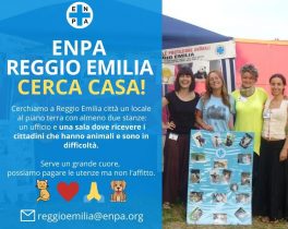 L’ENPA Reggio Emilia cerca casa