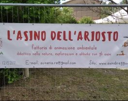 Nuova uscita ambientale con "Ripuliamoci"