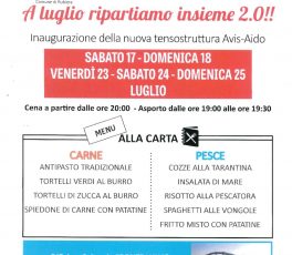 Festa a Rubiera con Avis e Aido