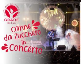 GRADE Concerto Canne Da Zucchero A3 Page 0001