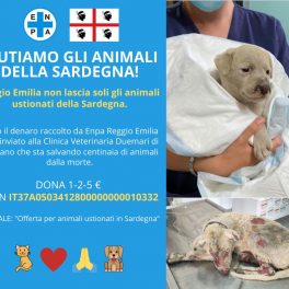 ENPA raccoglie fondi per gli animali ustionati della Sardegna