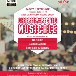 Charity Picnic: tre band in concerto all'Arena Campovolo per il GRADE
