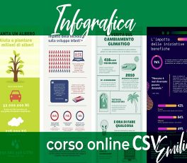 Infografica