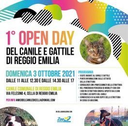 Domenica 3 ottobre l’open day al canile e gattile comunale di Villa Cella