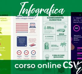 Infografica