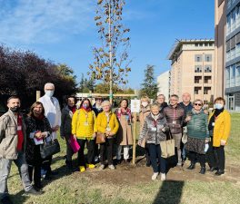 13esima Giornata Nazionale AVO, “L’albero che resiste rifiorisce” – Il resoconto