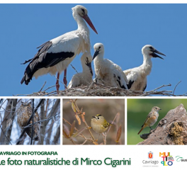 Auser promuove la rassegna "Cavriago in fotografia"