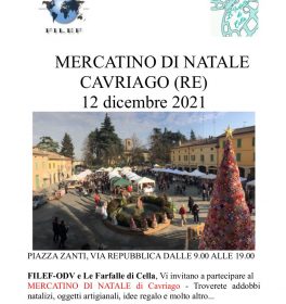 Mercatino di Natale a Cavriago con Filef e le Farfalle di Cella