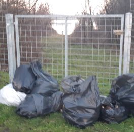 Legambiente, tra Reggio e Correggio il primo Giro d’Italia di Plogging e la nuova stagione di "Caccia ai rifiuti"