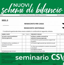 Schemi Di Bilancio