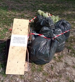 Legambiente a difesa del bosco urbano Enrico Berlinguer