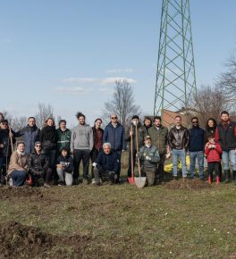 50 nuovi alberi al parco Nilde Iotti grazie alla donazione di due giovani sposi