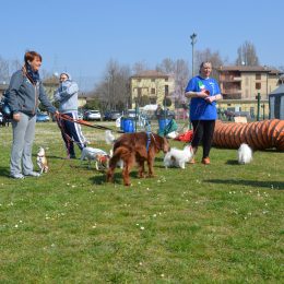 Lions Day 2022 alla Reggia di Rivalta