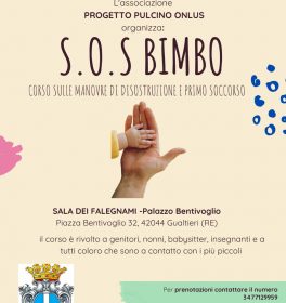 Un corso su disostruzione pediatrica e primo soccorso a Gualtieri con Progetto Pulcino