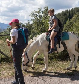 Ferragosto Balocco: avventure di comunità a 2, 4, 6 zampe