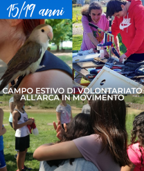 Campo Arca