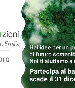 Nuovo bando AmbientAzioni Reggio Emilia promosso dal comitato territoriale Iren