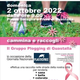 Giornata di raccolta rifiuti Plastic Free a Guastalla