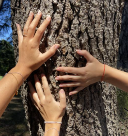 "Bagno di natura e dialogo con alcune piante secolari" a Villa Arnò
