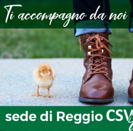 Mentori Nuovi Volontari RE 1024x0