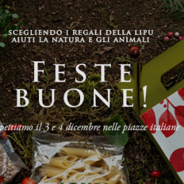 Un Natale per la natura all'Oasi Lipu Celestina