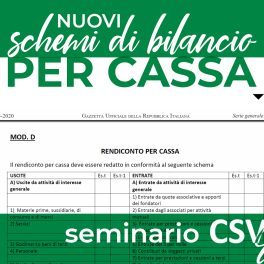 Schemi Di Bilancio Cassa