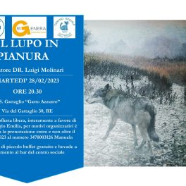 Evento di Enpa su “Il lupo in pianura”