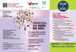 locandina-a3-non-da-soli-2