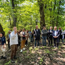 Conad Centro Nord adotta 60 castagni secolari del Bosco Matildico di Marola per i suoi 60 anni