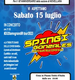Festa in piazza per i 65 anni di Avis Novellara