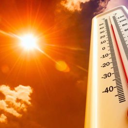 Emergenza caldo. Il piano di intervento di Ausl e Comune di Reggio Emilia
