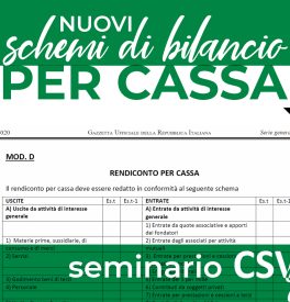 Schemi Di Bilancio Cassa