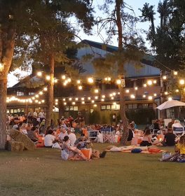 Charity Picnic 2024 con Croce Verde Reggio Emilia e Albinea