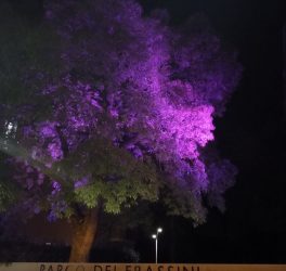 Albinea aderisce alla campagna di prevenzione di tumore al seno