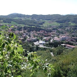 Casina, il protagonismo delle associazioni di volontariato al centro della primavera e dell’estate 2025