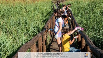 Scadenze Giugno Sito Web 83