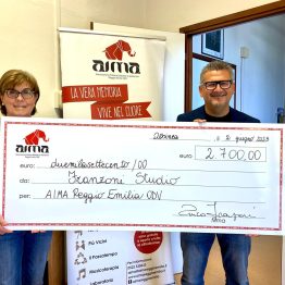 Studio Franzoni consegna ad AIMA il ricavato dell’Evento benefico “Geometrie di Luce”