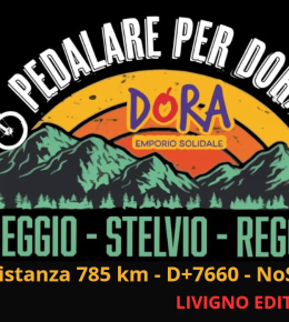 In bicicletta 36 Pollici da Reggio Emilia allo Stelvio e ritorno no stop ed. 2025 - Livigno Edition