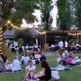 Edizione 2025 del Charity Picnic della Croce Verde di Reggio Emilia e Albinea