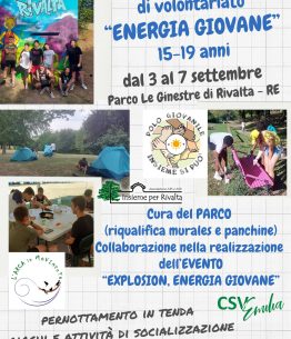 Campo residenziale di fine estate 2025 al parco Le Ginestre a Rivalta