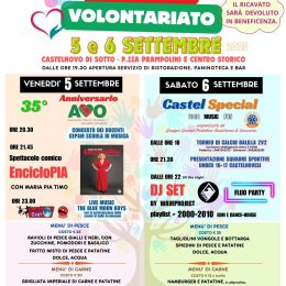 Festa 2025 per il volontariato di Castelnovo Sotto