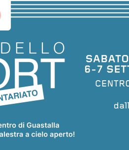 Festa dello Sport e del Volontariato 2025 di Guastalla