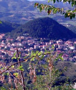 Castelnovo ne' Monti, due corsi dedicati alle associazioni di volontariato del territorio