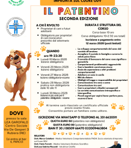 Il Patentino: nuovo corso a Rubiera per proprietari di cani e persone interessate a diventarle