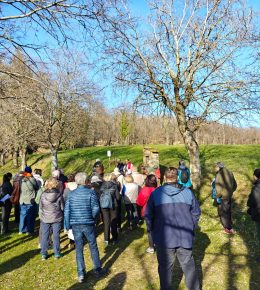 Via Crucis 2026 nel castagneto di Marola, il resoconto