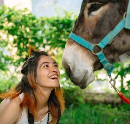 Giovani da Italia, Francia e Grecia a Ligonchio per lo scambio Erasmus+ "Donkey Man Walking".